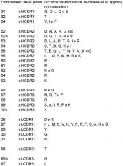 Молекулы антител человека к il-13 (патент 2387667)