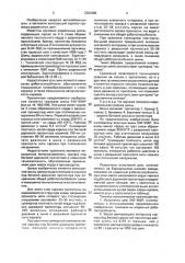 Пневматическая шина (патент 2003488)