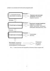 Сорбент на основе клетчатки бурых водорослей (патент 2637436)