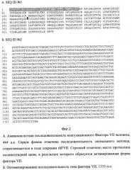 Рекомбинантная плазмидная днк pap271, кодирующая полипептид фактора vii свертываемости крови человека, и линия клеток mesocricetus auratus внк 21 k.13 (2h7) - продуцент рекомбинантного фактора vii свертываемости крови человека (патент 2448160)