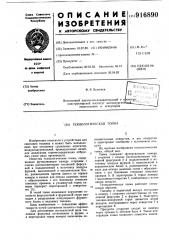 Технологическая топка (патент 916890)