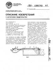 Устройство для намыва сооружений (патент 1395743)