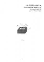 Способ биометрической идентификации личности по профилограммам папиллярного узора (патент 2622879)