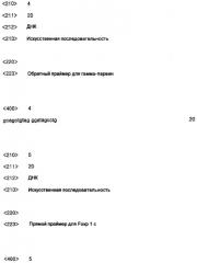 Регулирующее дифференцировку средство, содержащее ген, который регулирует дифференцировку из стволовых клеток в клетки-природные киллеры, в качестве эффективного ингредиента (патент 2350649)