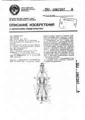 Рычажное измерительное устройство (патент 1067207)