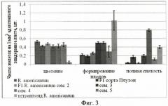 Способ оценки функциональной активности пельтатных железок (патент 2455818)