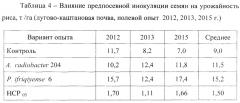 Штамм ассоциативных бактерий phyllobacterium ifriqiyense 6, активный азотфиксатор и ростстимулятор для повышения продуктивности риса (патент 2649362)