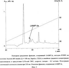 Пептиды латарцины, проявляющие антимикробную активность (патент 2306148)