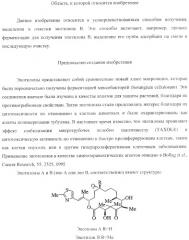 Способы получения, выделения и очистки эпотилона b и рентгеноструктурные кристаллические структуры эпотилона в (патент 2368661)