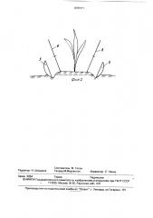 Способ борьбы с сорняками и устройство для его осуществления (патент 1676471)