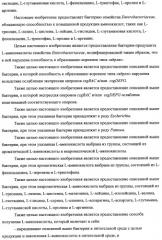 Способ получения l-треонина с использованием бактерии, принадлежащей к роду escherichia, модифицированной таким образом, что в ней нарушена способность к образованию ворсинок типа "керли" (патент 2338782)