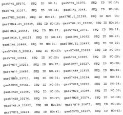 Мутантные антигены gas57 и антитела против gas57 (патент 2471497)