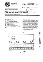 Фильтр для очистки воды (патент 1058579)