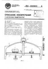 Крановая установка (патент 1025653)