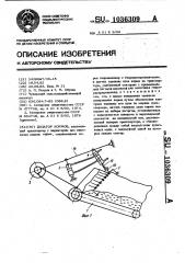 Дозатор кормов (патент 1036309)