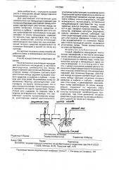 Способ обработки междурядий многолетних насаждений (патент 1727599)