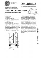 Устройство для установки репера с закрепляющими элементами в скважине (патент 1208236)