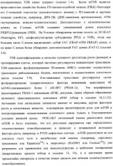 Производные пиридо-, пиразо- и пиримидо-пиримидина и их применение в качестве ингибиторов mtor (патент 2445315)