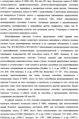 Способ картирования и устранения эпитопов т-клеток (патент 2334235)