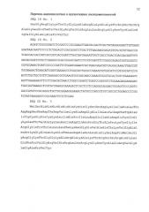 Плазмидный вектор pet-his8-trxl-acip1, штамм бактерии escherichia coli bl21(de3)/pet-his8-trxl-acip1 для экспрессии антимикробного пептида аципенсина-1 и способ получения указанного пептида (патент 2580031)