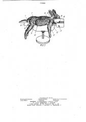 Устройство для фиксации лабораторных животных (патент 1123680)
