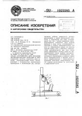 Устройство для укладки цилиндрических изделий в тару (патент 1025585)