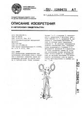 Зажим (патент 1289475)