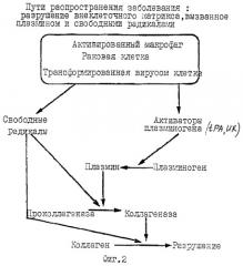 Синергичные композиции, содержащие аскорбат и лизин, для лечения состояний, связанных с деструкцией внеклеточного матрикса (патент 2268038)