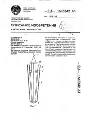 Способ заделки вертикальных стыков гидротехнического сооружения (патент 1645342)