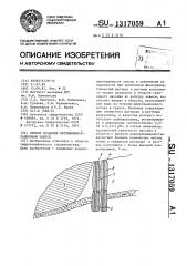 Способ создания противофильтрационной завесы (патент 1317059)