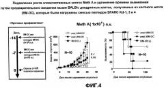 Sparc-производные антигенные пептиды отторжения опухоли и лекарственные средства, содержащие их (патент 2451521)