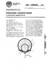 Пневмогидравлический аккумулятор (патент 1286828)