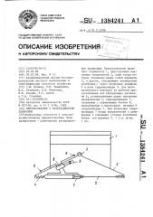 Приспособление к разбрасывателю удобрений (патент 1384241)