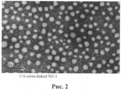 Полимерные наночастицы состава фермент-поликатион-полианион, содержащие антиоксидантный фермент, для применения в медицине и способ их получения (патент 2575836)