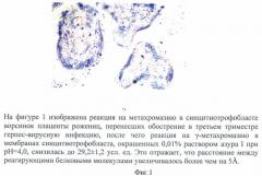 Способ оценки проницаемости мембраны синцитиотрофобласта ворсинок плаценты методом метахромазии у рожениц, перенесших в третьем триместре обострение герпес-вирусной инфекции с титром антител 1:12800 (патент 2463604)