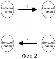Повышение биометрической защищенности системы (патент 2533654)