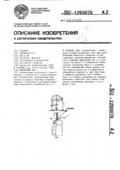 Шлюпочный гак (патент 1293070)