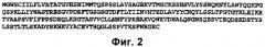 Антитела против миелин-ассоциированного гликопротеина (mag) (патент 2303461)