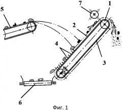 Устройство для отделения корнеклубнеплодов от примесей (патент 2454850)