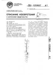 Инструмент для овариоэктомии животных (патент 1253637)