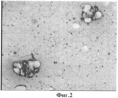 Способ озон/no-ультразвуковой дезинтеграции суспензий опухолевых клеток и их агрегатов (патент 2433178)