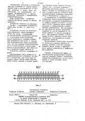 Устройство для отделения примесей от свеклы (патент 1173972)