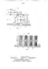 Очиститель головок корней свеклы и междурядий (патент 686658)