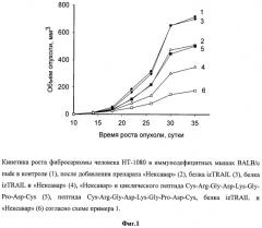 Способ подавления роста опухолей (патент 2530592)