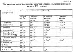 Консорциум штаммов бифидобактерий, используемый для получения жидкого концентрата бифидобактерий, кисломолочных, неферментированных лечебно-профилактических продуктов, биологически активных добавок и бактерийных препаратов (патент 2291194)