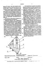 Шарошка породоразрушаюшего инструмента (патент 2000420)