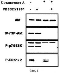 Комбинация (а) ингибитора фосфоинозит-3-киназы и (б) модулятора пути ras/raf/mek (патент 2508110)