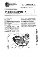 Способ исследования кишечника животных (патент 1060173)