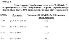 Бактерия е.coli, продуцирующая гетерологичный полипептид, и способ продуцирования полипептида (патент 2287574)