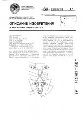 Облучатель для животных (патент 1304791)